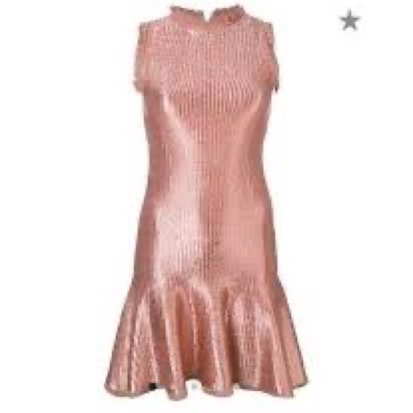 Alexander McQueen Rose gold dress, brand new with tags Medium. - Picture 8 of 8